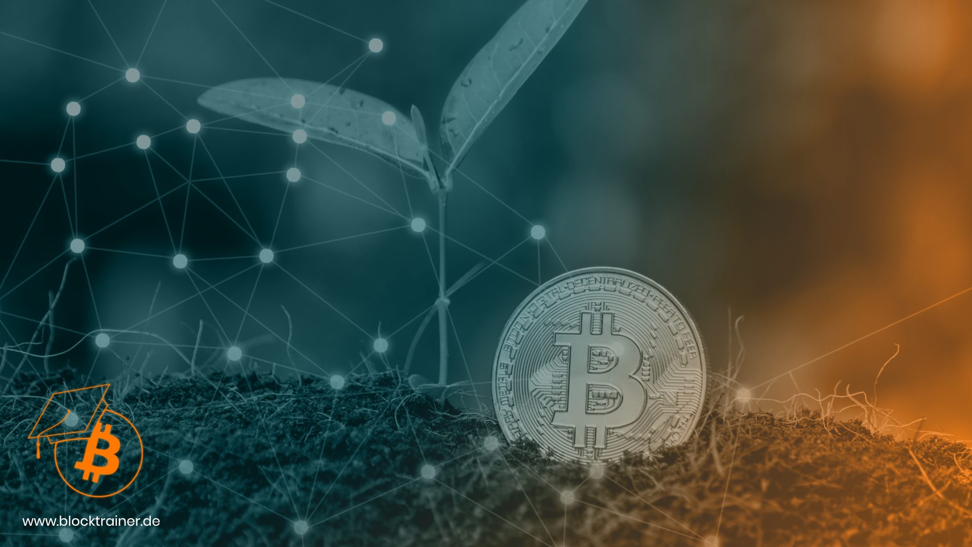 Bitcoinmünze neben Pflanze auf Erdboden
