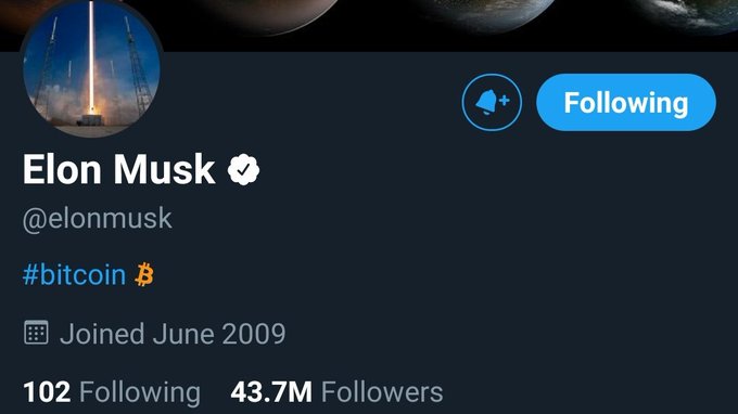 Elon Musk BTC